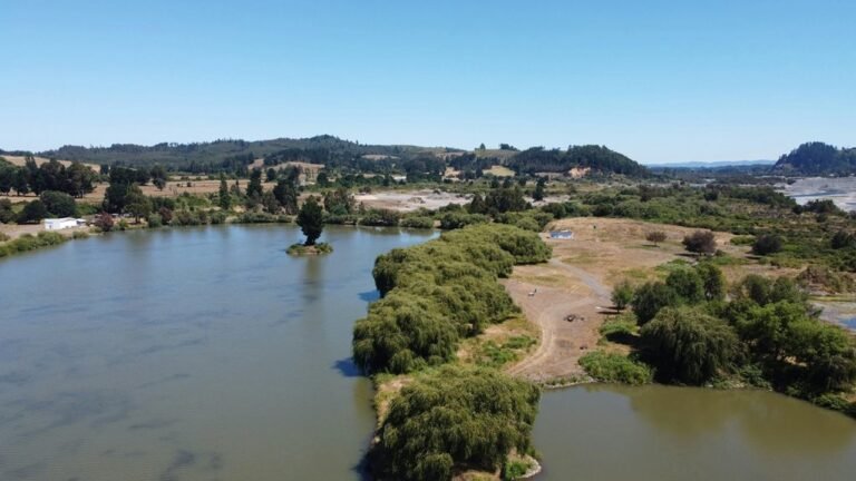 downloadhub host overview document