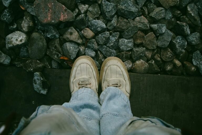 fashion platform overview details