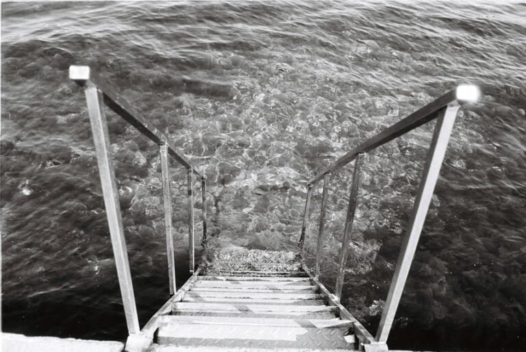 filmywala platform overview details